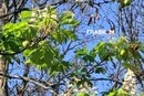 Якість повітря у Києві 21 вересня 2026 року: актуальні показники по районах