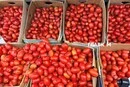 Де у Києві проходитимуть продуктові ярмарки 26-27 вересня (адреси)