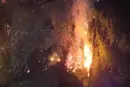 На Закарпатті вирує масштабна лісова пожежа: вогонь гасять другий день (фото)