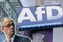 Ультраправа «Альтернатива для Німеччини» (AfD) здобула історичну перемогу в Саксонії-Ангальт, набравши 44% голосів