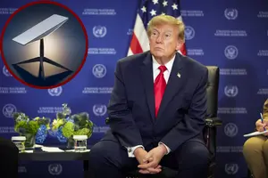 Трамп переадресував Маску питання про Starlink для ударів по Росії