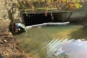 Російська атака забруднила струмок і озеро у Києві