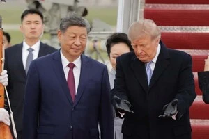 Дональд Трамп вбрався у зимовий одяг, коли на вулиці температура сягала +18 °C