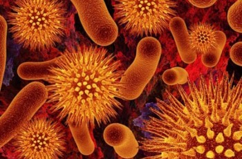 Вот такая вот зараза: почему Украину атакуют микробы, вирусы и бактерии-мутанты