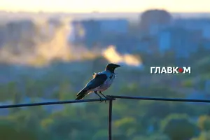 Вологість повітря у Києві становить 93.0 %