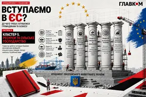 Вступаємо в ЄС. До чого треба бути готовим громадянам та бізнесу. Частина 6