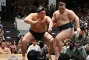 Український сумоїст Аонішікі поступився у битві за Кубок Імператора