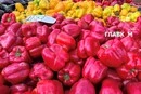 У Києві 29 вересня – 4 жовтня відбудуться продуктові ярмарки: адреси