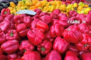 Городину, фрукти та м’ясо кияни зможуть купити безпосередньо у виробників