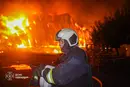 Атака на Одещину: постраждали вісім людей, пошкоджено притулок для тварин (фото)