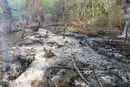 У Румунії виявлено уламки ймовірного БпЛА