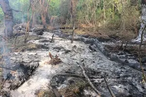 Уламки впали на сільськогосподарські угіддя на острові Великий Бреїла