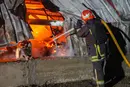 Росіяни знищили притулок для тварин на Одещині