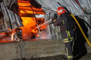 Притулок «Люблячі серця» працює в Одеській області та опікується покинутими тваринами
