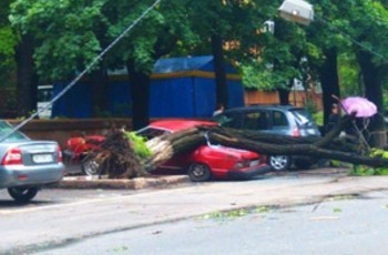 Что творится с погодой в Украине? (ФОТО)