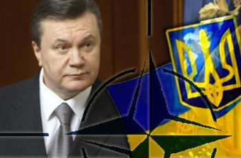 Новый доклад НАТО по Украине: отдаляется ли Янукович от России?