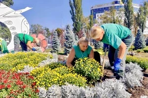 Комунальники провели планову заміну рослин, обравши для в’їзної локації яскраві теплі кольори