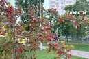 Метеорологічна осінь до Києва прийшла із запізненням: підсумки вересневих аномалій