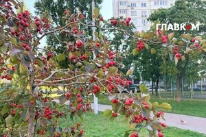 Метеорологічна осінь до Києва прийшла із запізненням: підсумки вересневих аномалій