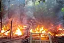 Надзвичайники врятували понад 30 собак під час пожежі у Вінниці