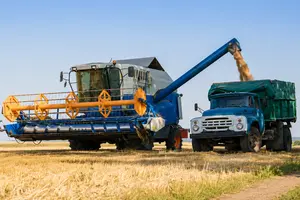 Аграрії змушені продавати врожай за безцінь і йдуть у збитки