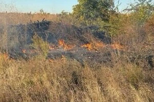 Після падіння уламків дрона загорілася рослинність 