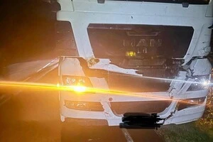 Вантажівка MAN на смерть збила зубра
