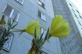 Реформа ЖКХ началась с раздачи земли обществам совладельцев жилья