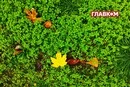 «Укргідрометцентр» пояснив, що ховається за назвою «бабине літо» та скільки воно триває