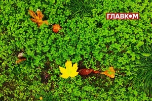 За словами Наталії Птухи, періоди антициклону можуть бути і в жовтні, і в листопаді
