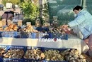 У Києві 6-11 жовтня відбудуться продуктові ярмарки: адреси