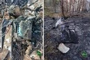 Ворожі дрони спричинили шість пожеж у лісах Київщини