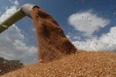 Росія втратила значну частину експорту зерна через Чорне море