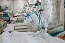 Вакцина від чуми для армії РФ? Журналісти The Times розкрили деталі роботи лабораторії