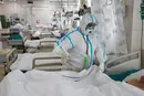 Вакцина от чумы для армии РФ? Журналисты The Times раскрыли подробности работы лаборатории