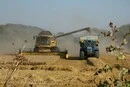 Світ зіткнувся з дефіцитом дизелю: ціни на продукти можуть зрости