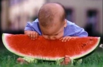 Как не отравиться арбузами?