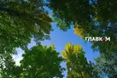В Україні прохолодно і переважно без дощів: погода на 10 жовтня 2026 року