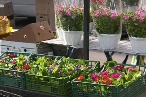 Торговельний майданчик облаштують на вул. Байковій, 1