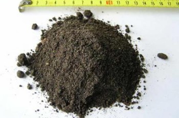 Ничья земля: почему отмена моратория не приведет к революции на рынке земель