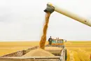 РФ зриває Казахстану зерновий сезон і блокує шлях до Європи