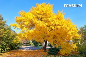 Циклон над Азовом принесе дощі в Україну