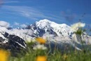 Найвища гора Західної Європи втратила понад метр висоти