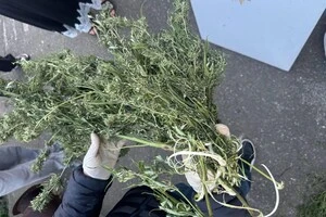 45-річний киянин збував наркотичні засоби на території Києва та області