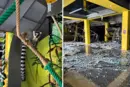 У Києві через обстріл зазнав пошкоджень зоопарк «Звірополіс»: що з тваринами