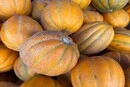 Продуктові ярмарки у Києві на вихідних 24-25 жовтня: де можна зробити покупки