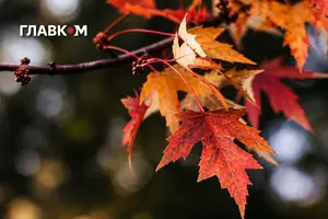 22 жовтня на Закарпатті та Прикарпатті значні дощі – оголошено жовтий рівень небезпечності