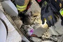 Пʼять днів під завалами. Рятувальники знайшли живого кота серед руїн будинку в Словʼянську (відео)