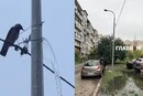 Комунальний курйоз: у Києві стовп раптово «перетворився» на фонтан (відео)