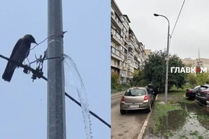 Комунальний курйоз: у Києві стовп раптово «перетворився» на фонтан (відео)